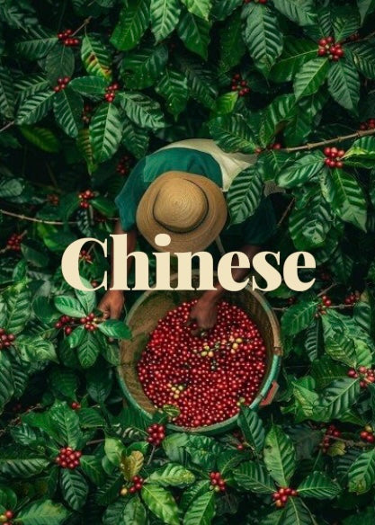 Chinese Beans